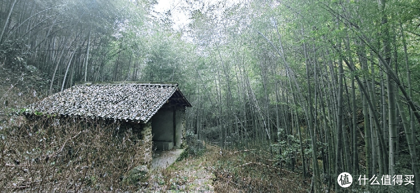 绍兴 · 萧绍古道 | 山阴道上行 如在画中游