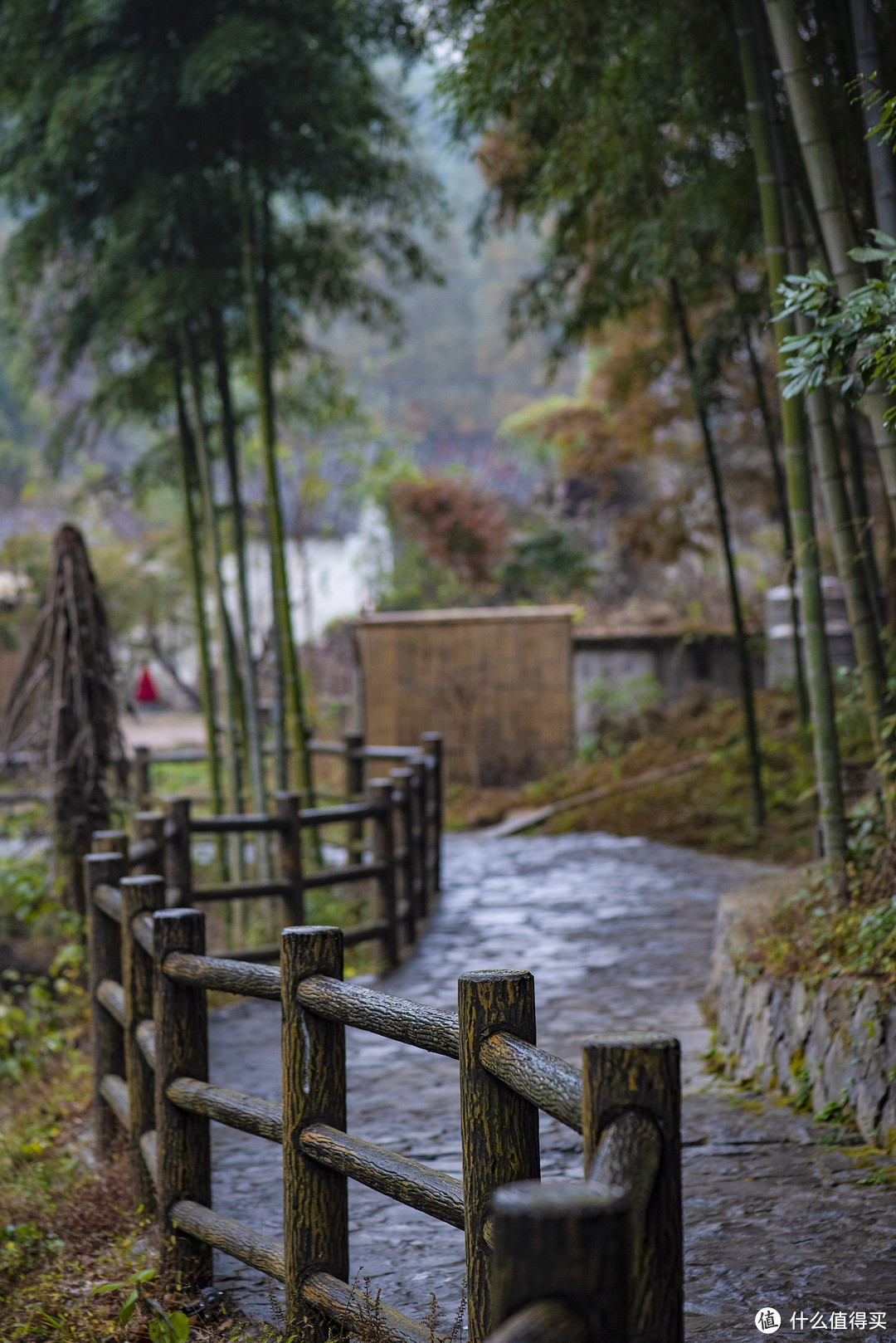 江南处处是美景——湖州与莫干山3日游