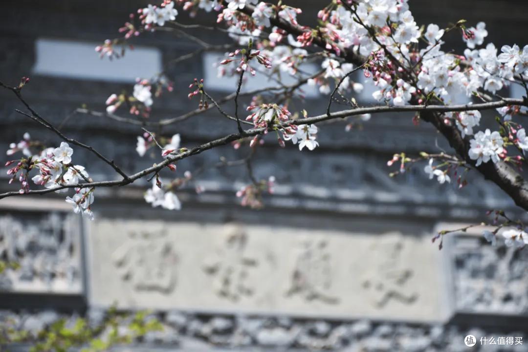 读懂了兰亭安麓,已是两眼模糊