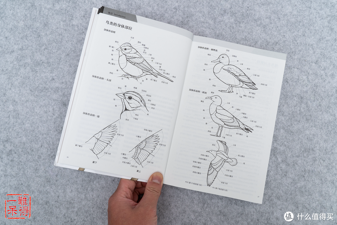 《中国鸟类观察手册》及周边文创产品开箱简介