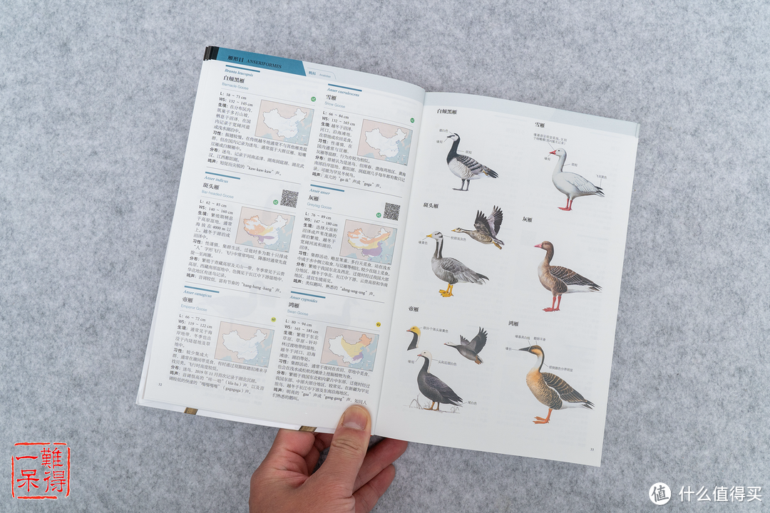 《中国鸟类观察手册》及周边文创产品开箱简介