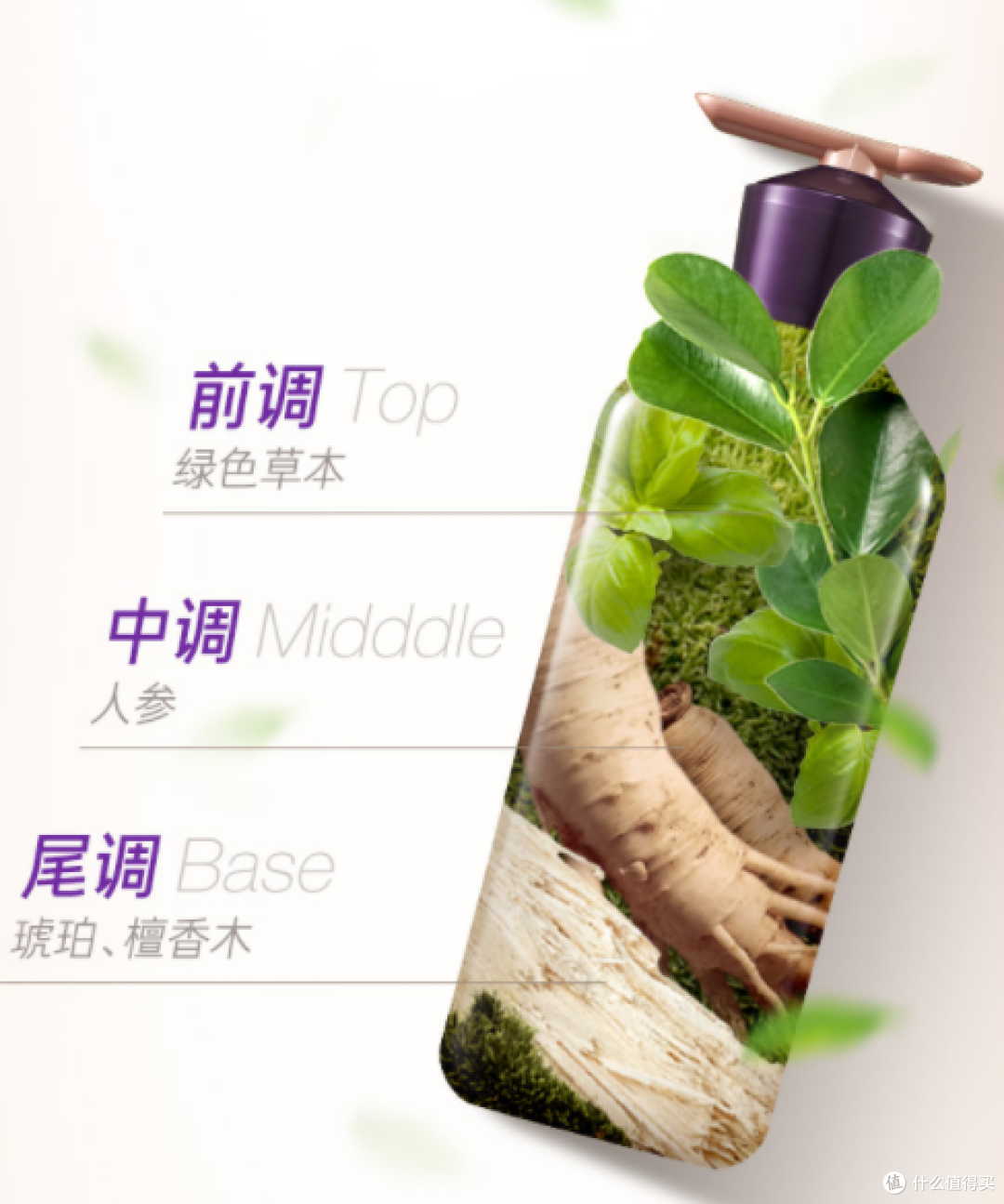 要996打工,更要保卫头顶那片“黑田”—历经3个月,85后中年男横评5款热销固发洗发水