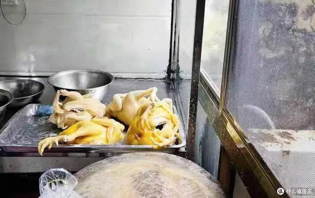 99%的吃鸡控,都无法拒绝这座全民吃鸡的南海小城