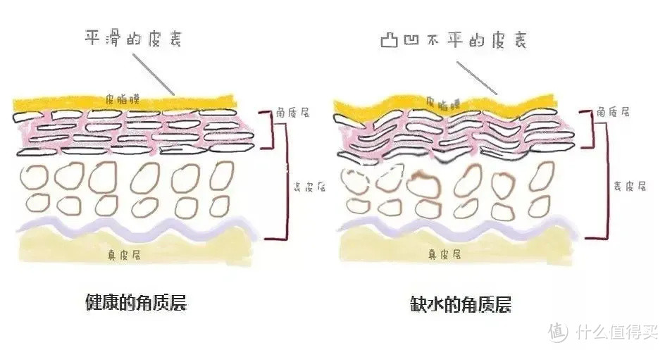 7款网红身体乳真实测评，美白，去鸡皮等功效，到底有没有用？