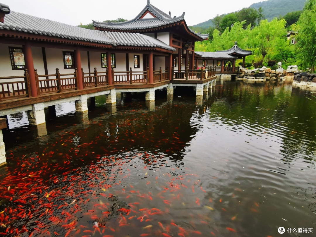 图片：大连分剁 贝拉