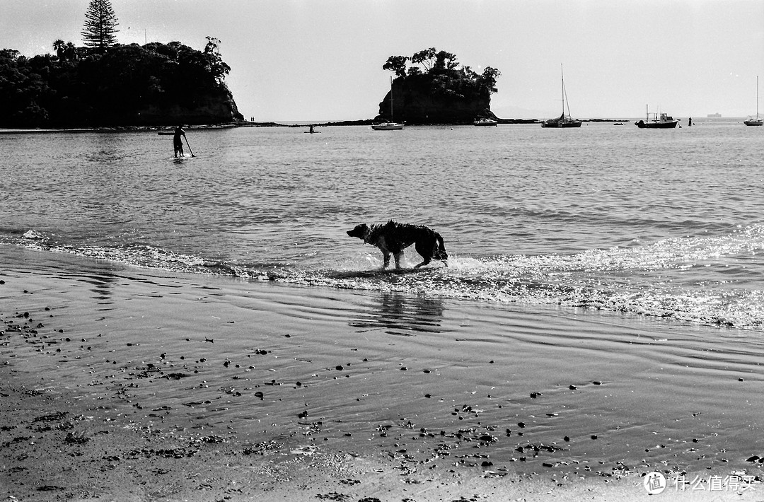 瑞光印象（5）：OM Zuiko MC 50mm F1.8