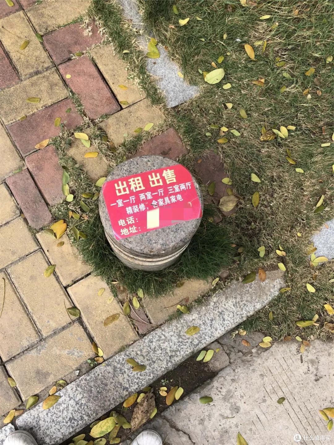 东北人在三亚买房,怎么能这么干脆?| 三亚3