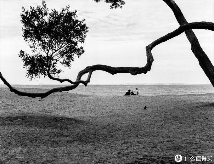 Bronica ETR系列中画幅胶片机镜头之:Zenzanon-PE 75mm F2.8