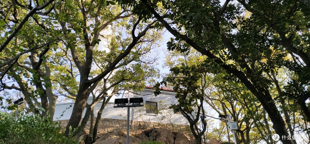 这才是青岛景色的代表?不可不来,门票便宜别称“琴岛”的小青岛推荐之行