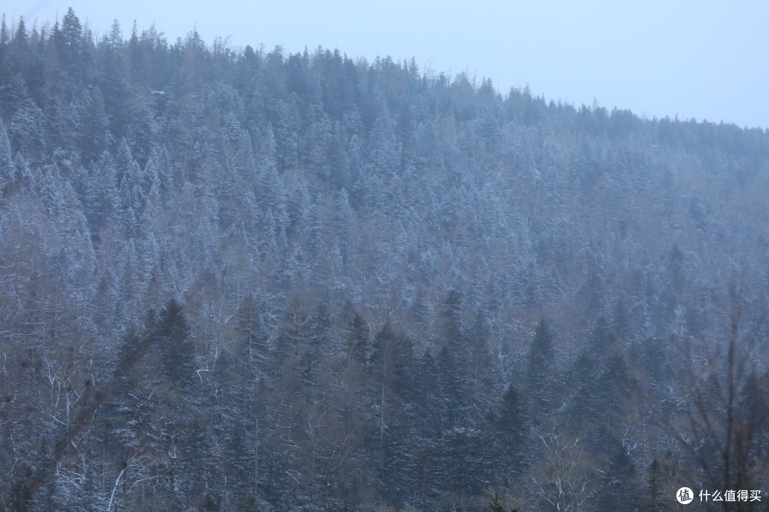 吉林篇——万达小镇,长白山