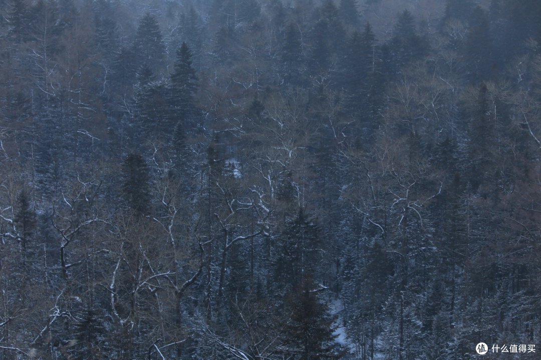 吉林篇——万达小镇,长白山