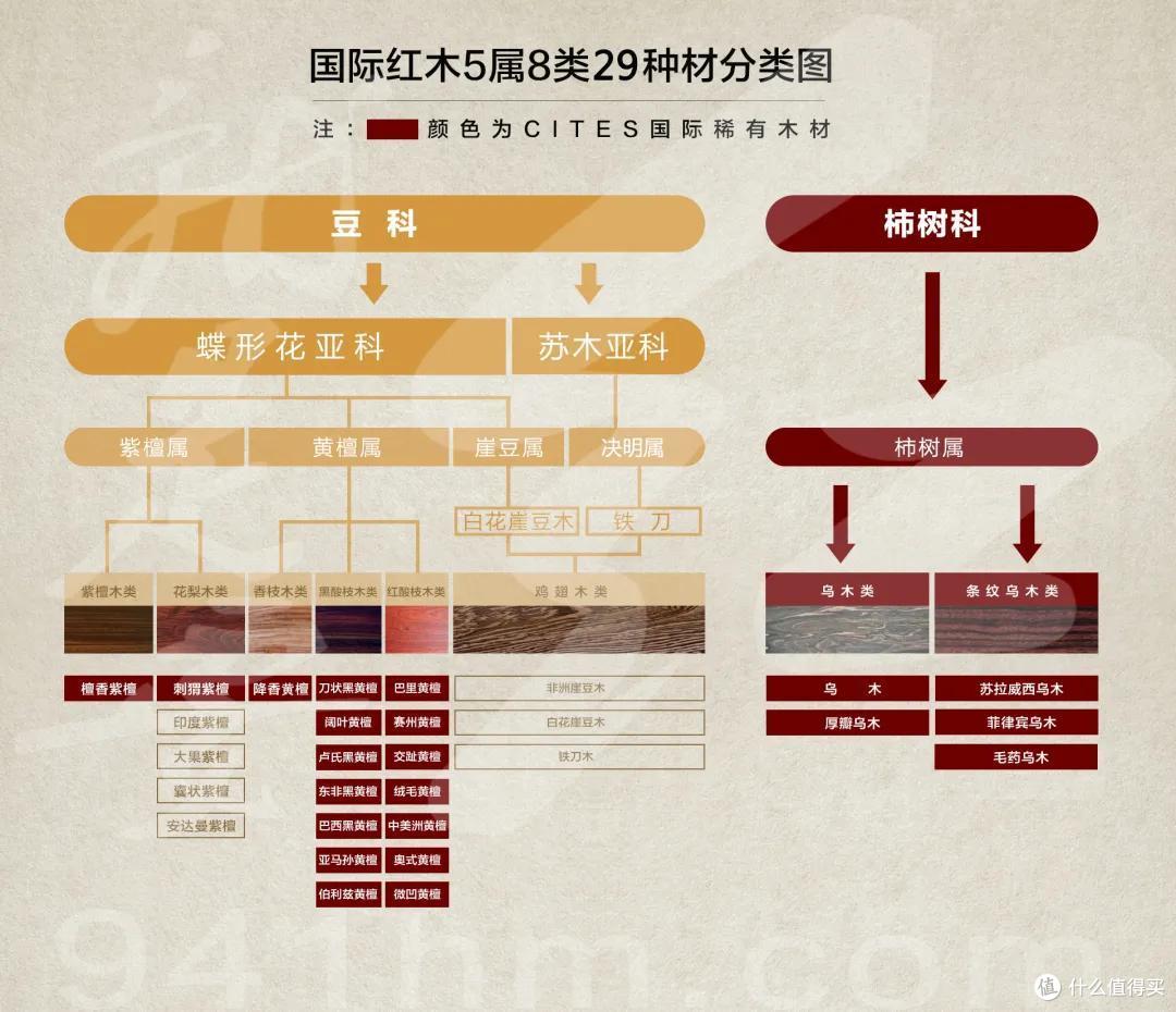 2021家居网红爆款,这5件我劝你慎重!