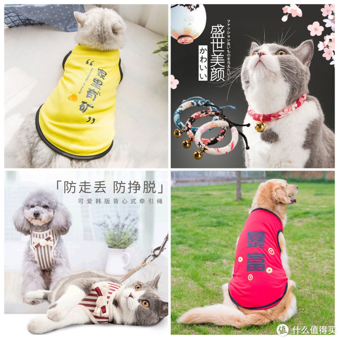 6家1688宠物用品同源店!百万粉大店源头工厂挖掘!同款低至3折!