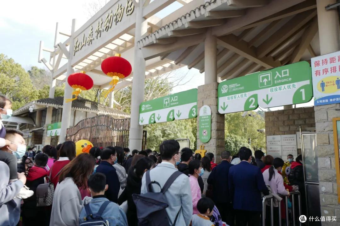 我去报复南京红山动物园了