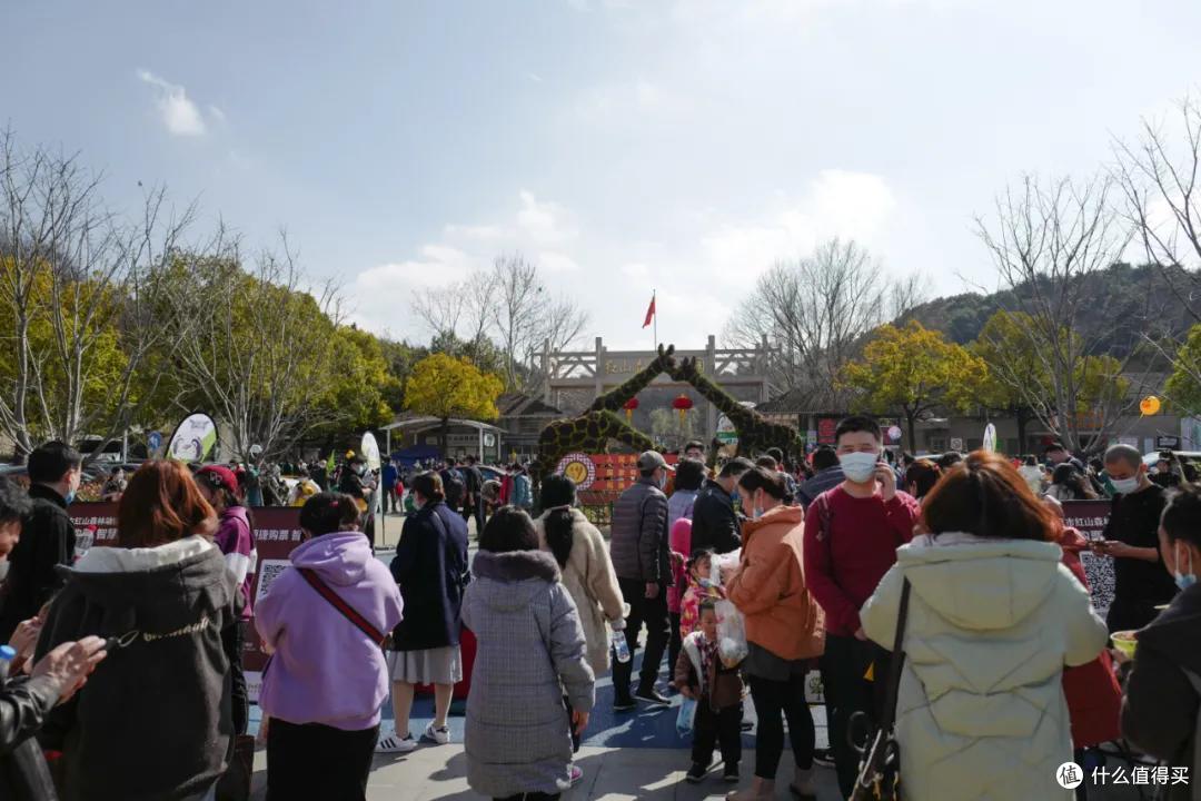 我去报复南京红山动物园了