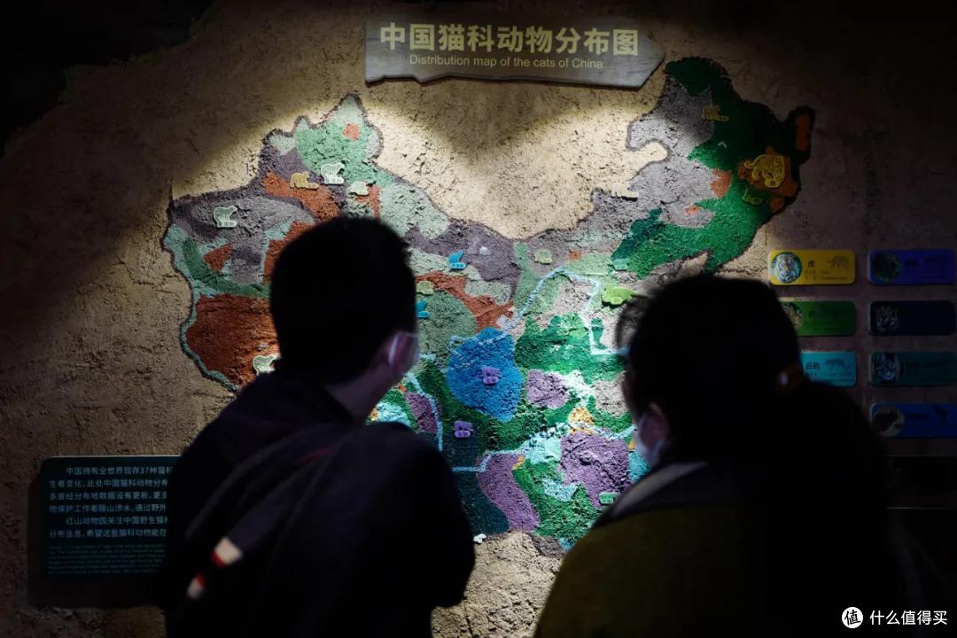 我去报复南京红山动物园了