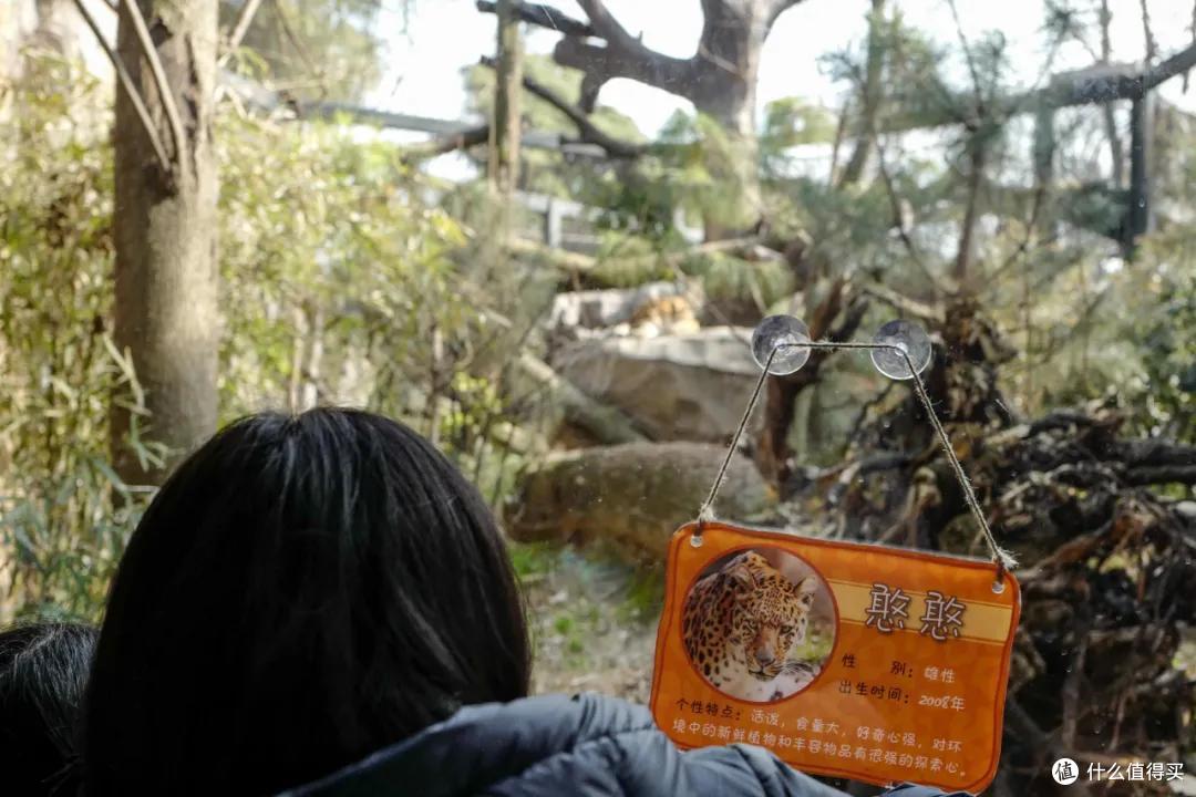 我去报复南京红山动物园了