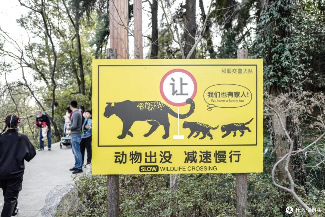 我去报复南京红山动物园了