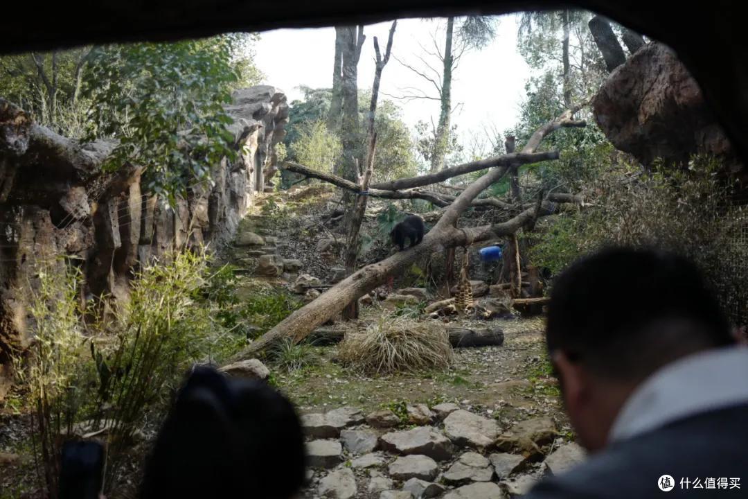 我去报复南京红山动物园了