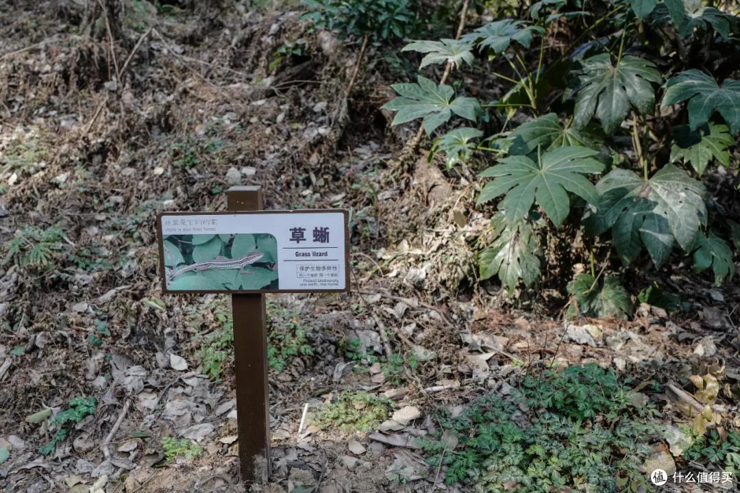 我去报复南京红山动物园了