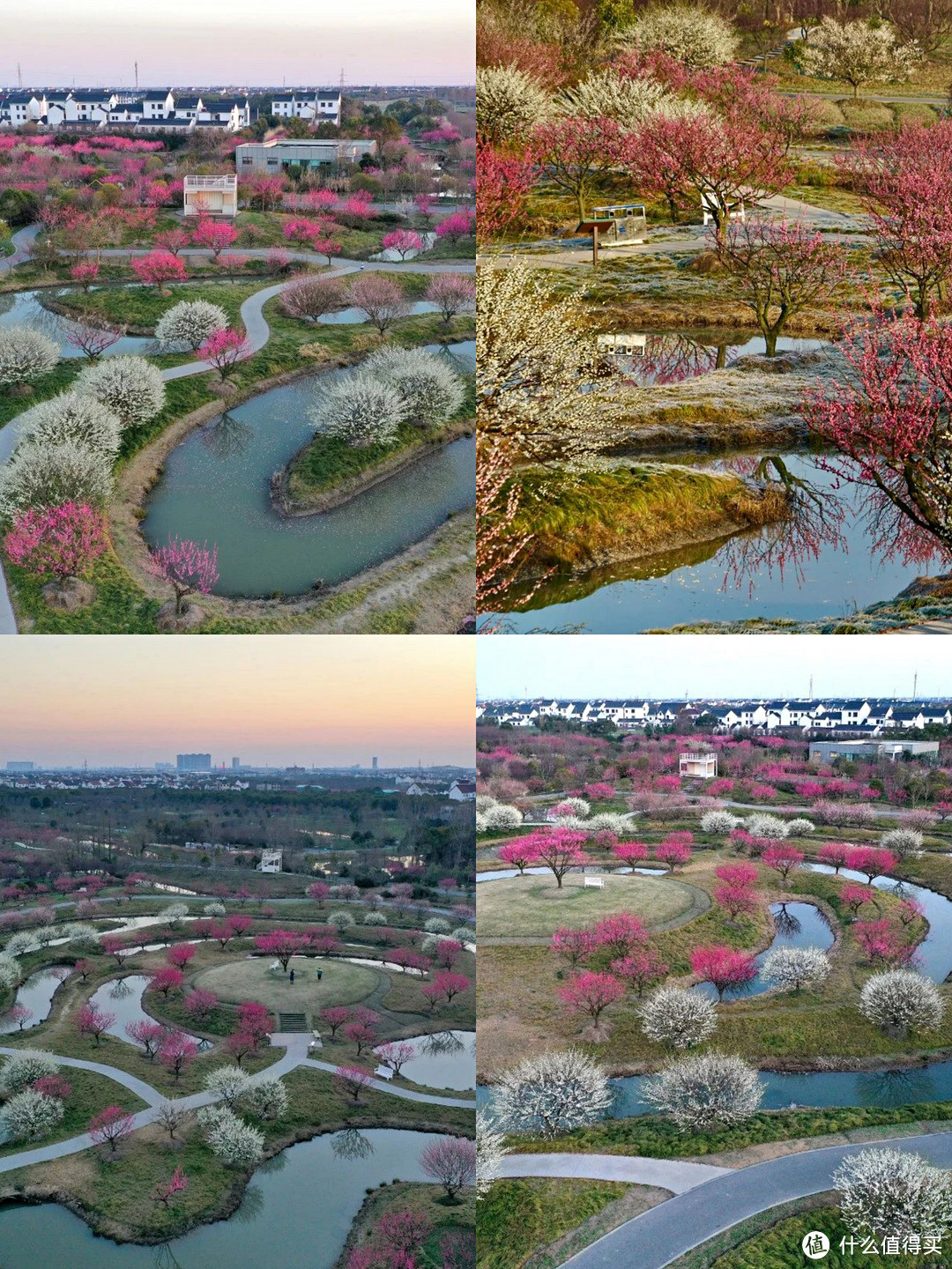 上海旅游春天花展赏花景点大全上海行李寄存攻略