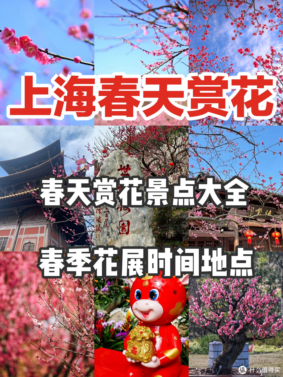 上海旅游春天花展赏花景点大全上海行李寄存攻略