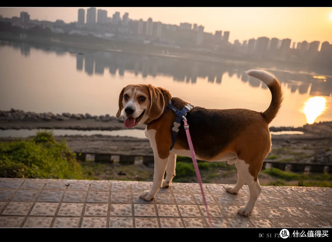 适马28-70mm F2.8 最小最轻全幅标变镜头测评