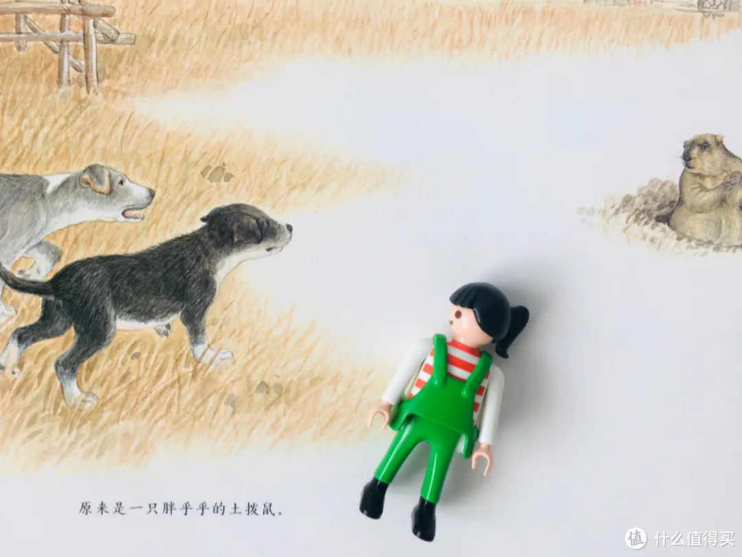 娃的世界不止上课和作业，还有远方的草原和细犬~ | 原创关注