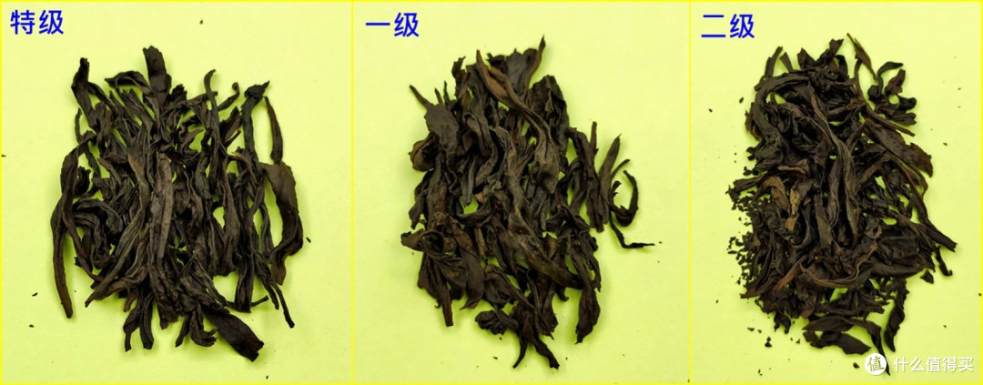 岩骨花香-——一文带你入门大红袍