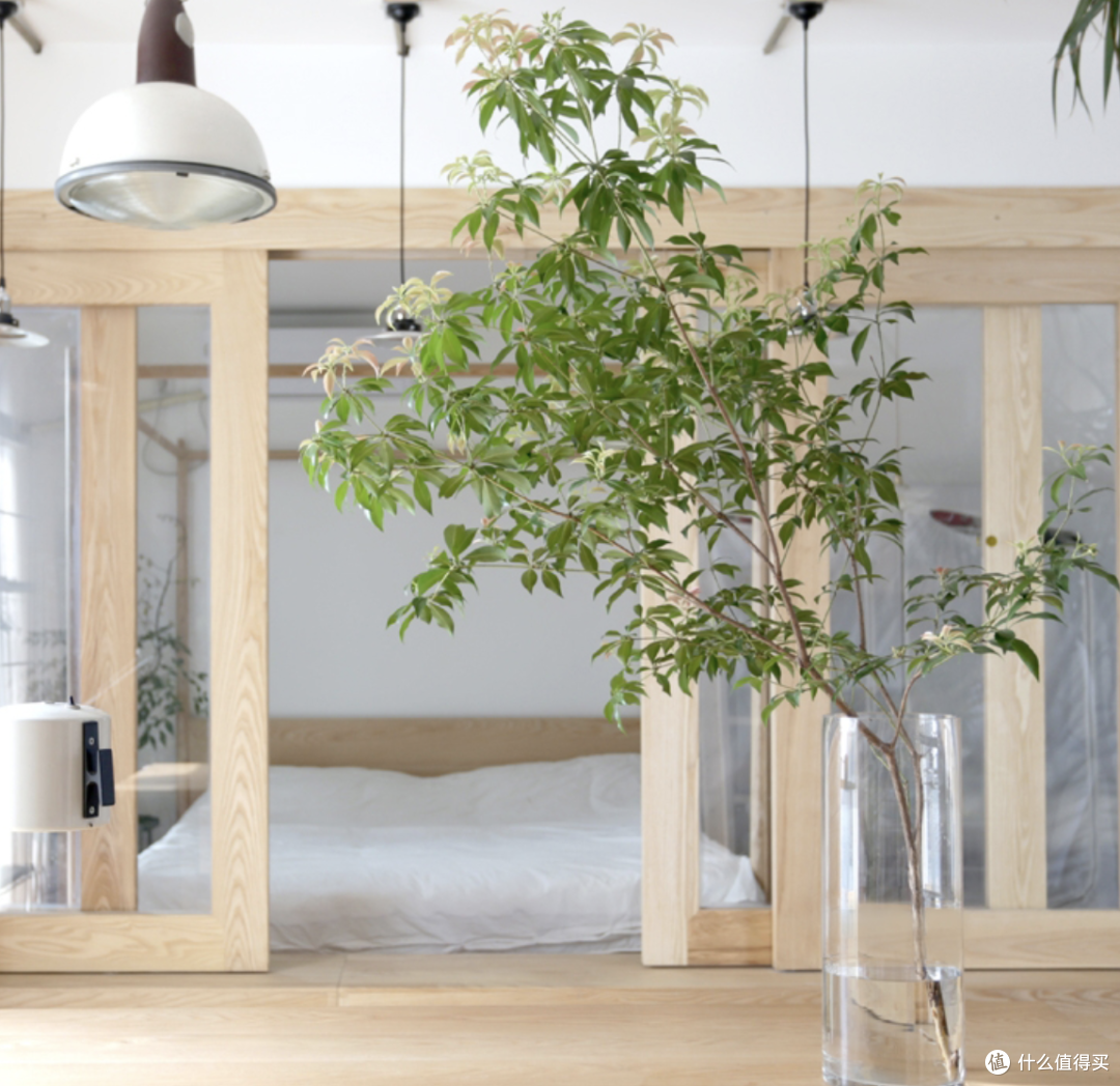 实木家具配植物,家居高级氛围感之源!