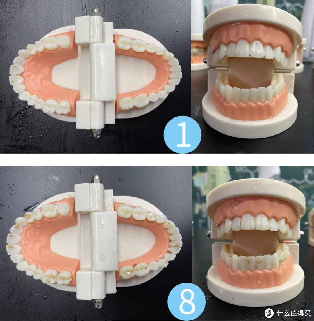 独家检测丨测完8款水牙线，真香！
