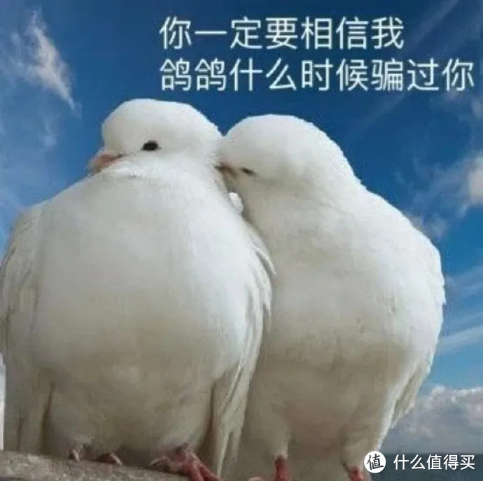 独家检测丨测完8款水牙线,真香!