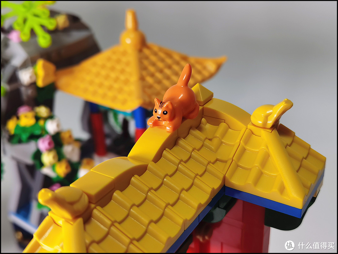 终于知道为什么大家都喜欢四季如春了!