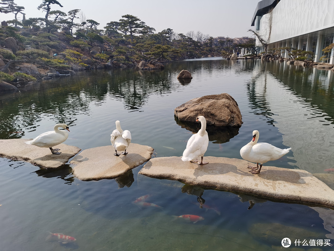 想去白嫖却被反薅的北京网红景点---罗红摄影艺术馆