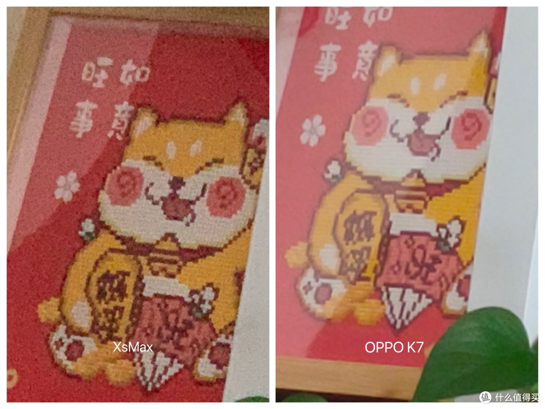 简单拍照对比-2