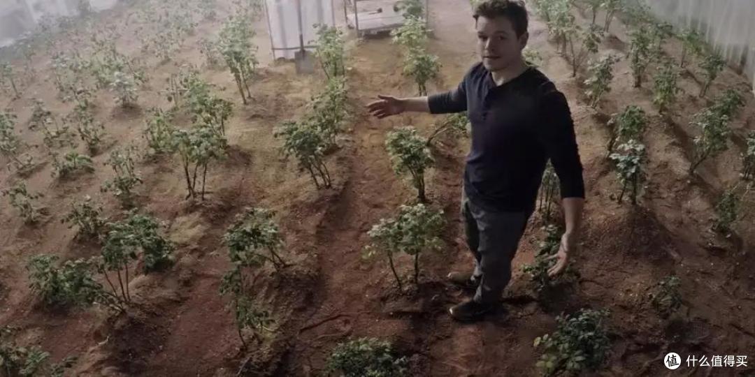 沙尘暴天适合看啥子电影？