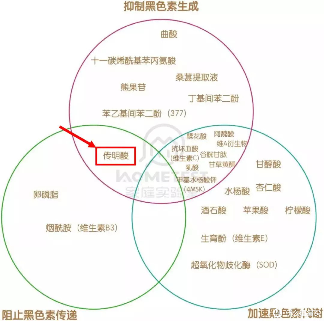 为什么这么多成人牙膏，就挑不出来一个好的？