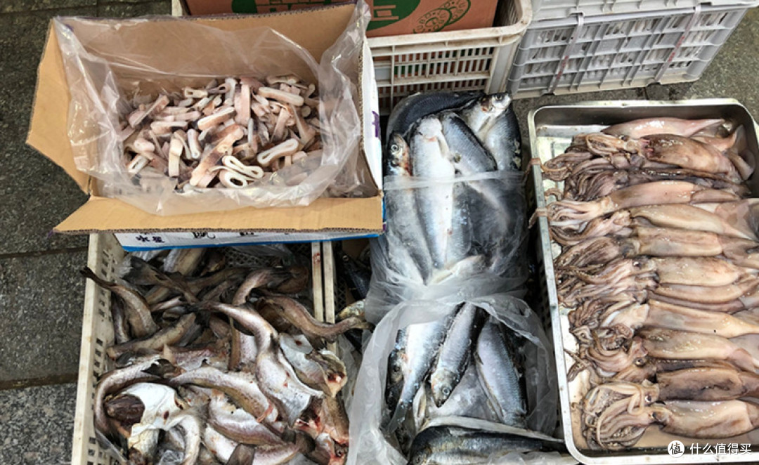 这种鱼总被人误解,比鲫鱼营养,却因冷冻被嫌弃
