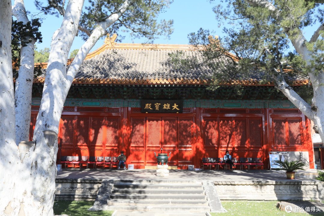 北京，石家庄篇（国博，故宫，五塔寺）