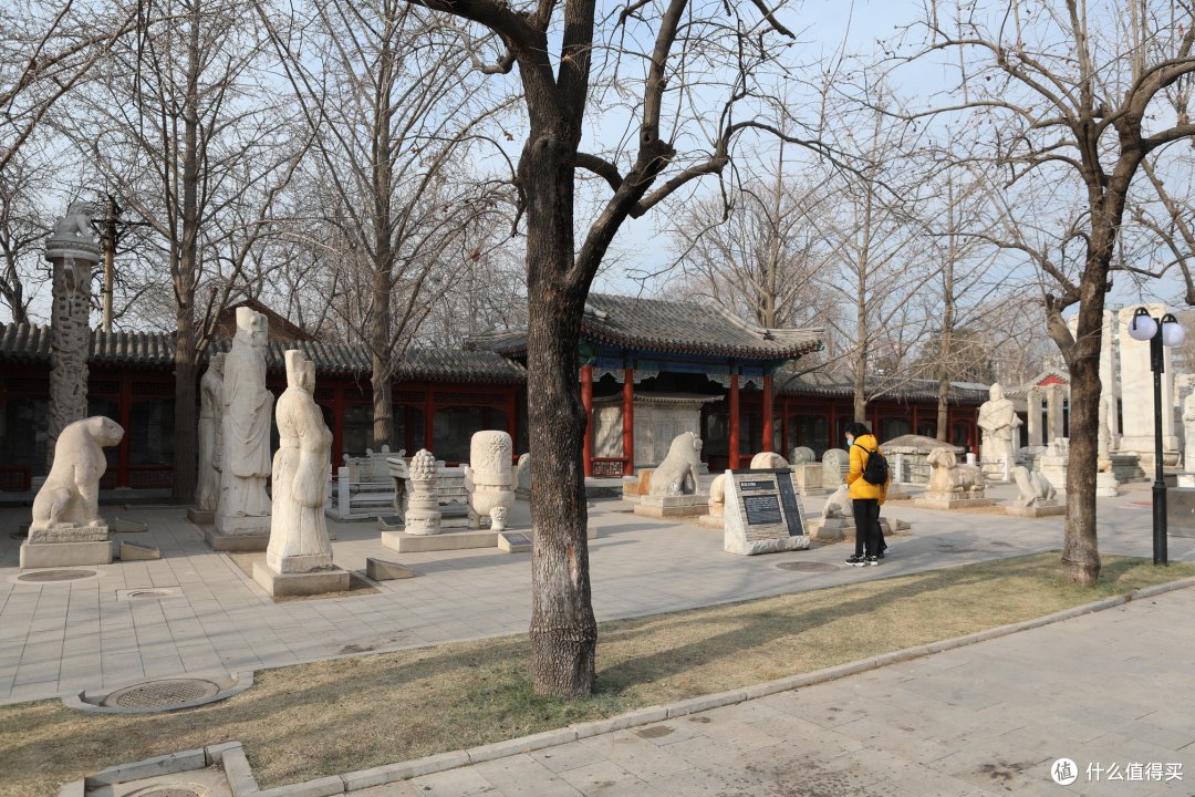 北京，石家庄篇（国博，故宫，五塔寺）