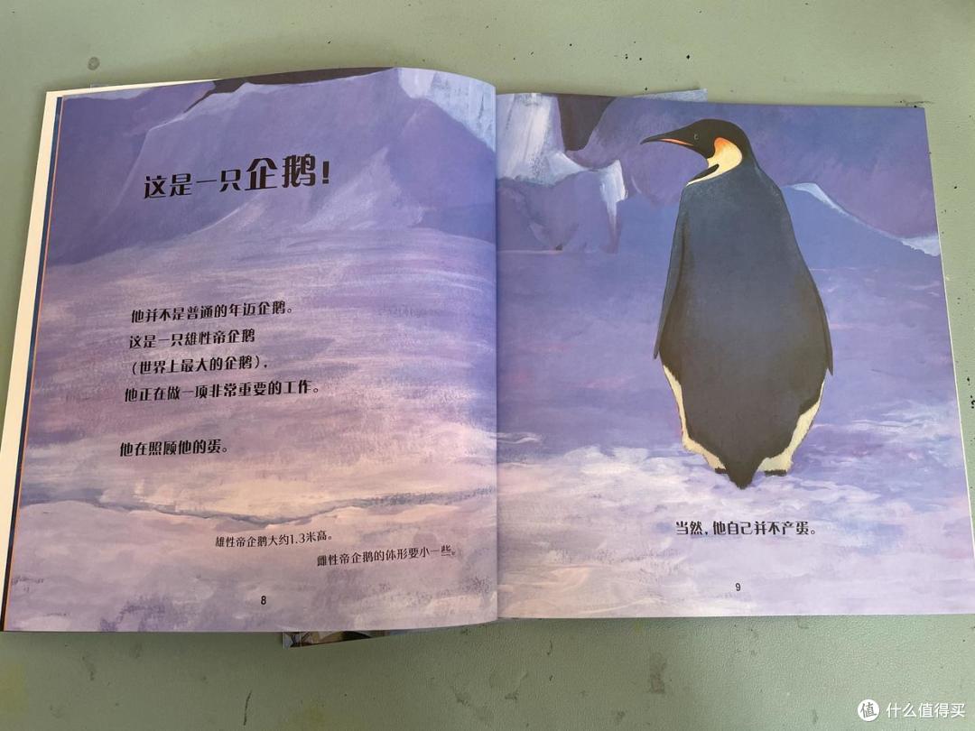 植树月体会人与自然关系?我们和娃还可以了解更多,就从认知动物开始吧~内有视频