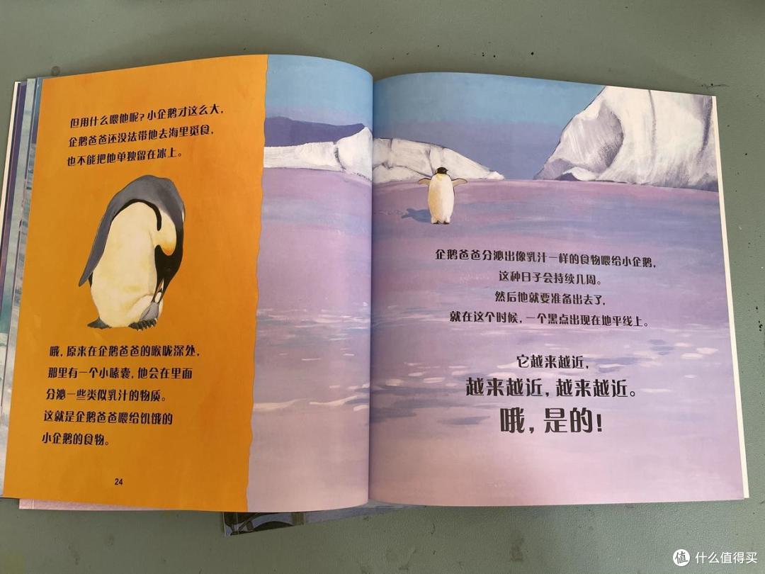 植树月体会人与自然关系?我们和娃还可以了解更多,就从认知动物开始吧~内有视频