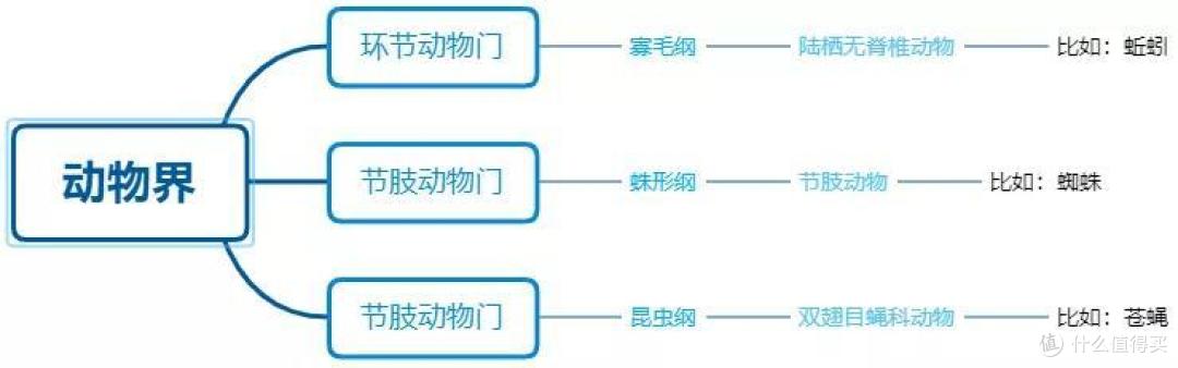 看完这套书，你娃可能要和蚯蚓拜把子