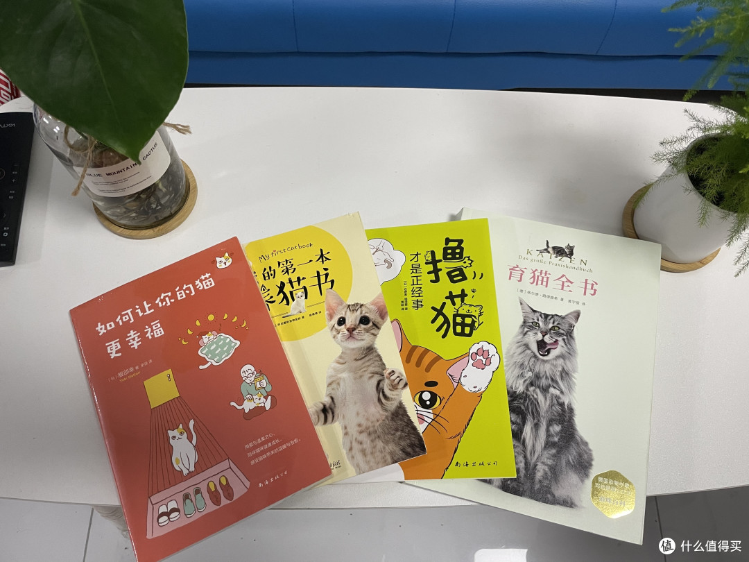 「猫奴」不可不看的8本书!看完忍不住想说“我一定会有猫的!”