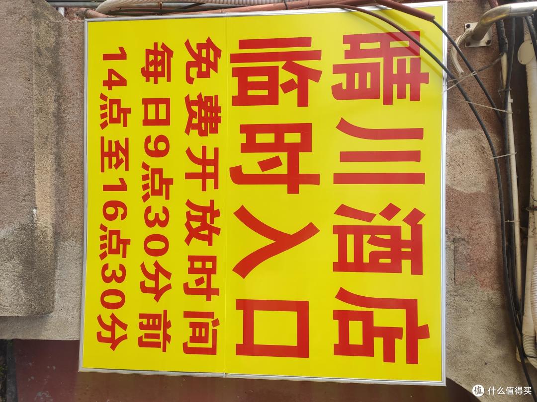 人间真实!打工人的周末两日武汉赏樱之旅