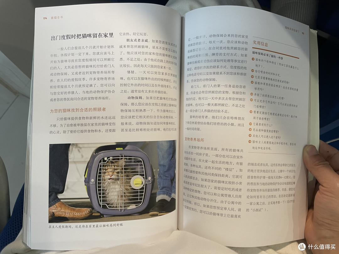 「猫奴」不可不看的8本书!看完忍不住想说“我一定会有猫的!”
