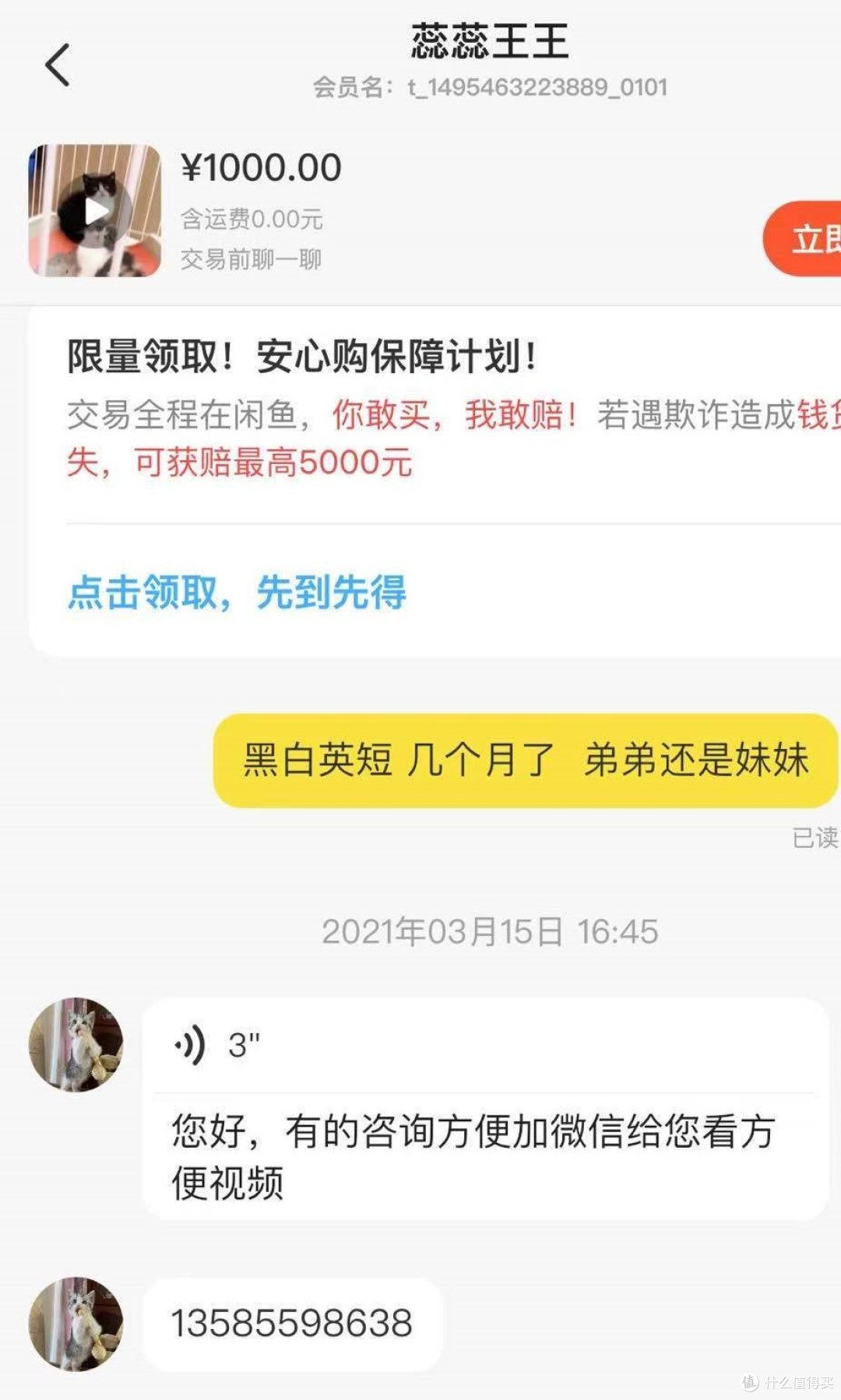 春虫虫写在脸上,“韭零后”打工人的闲鱼历险记,真的哭了