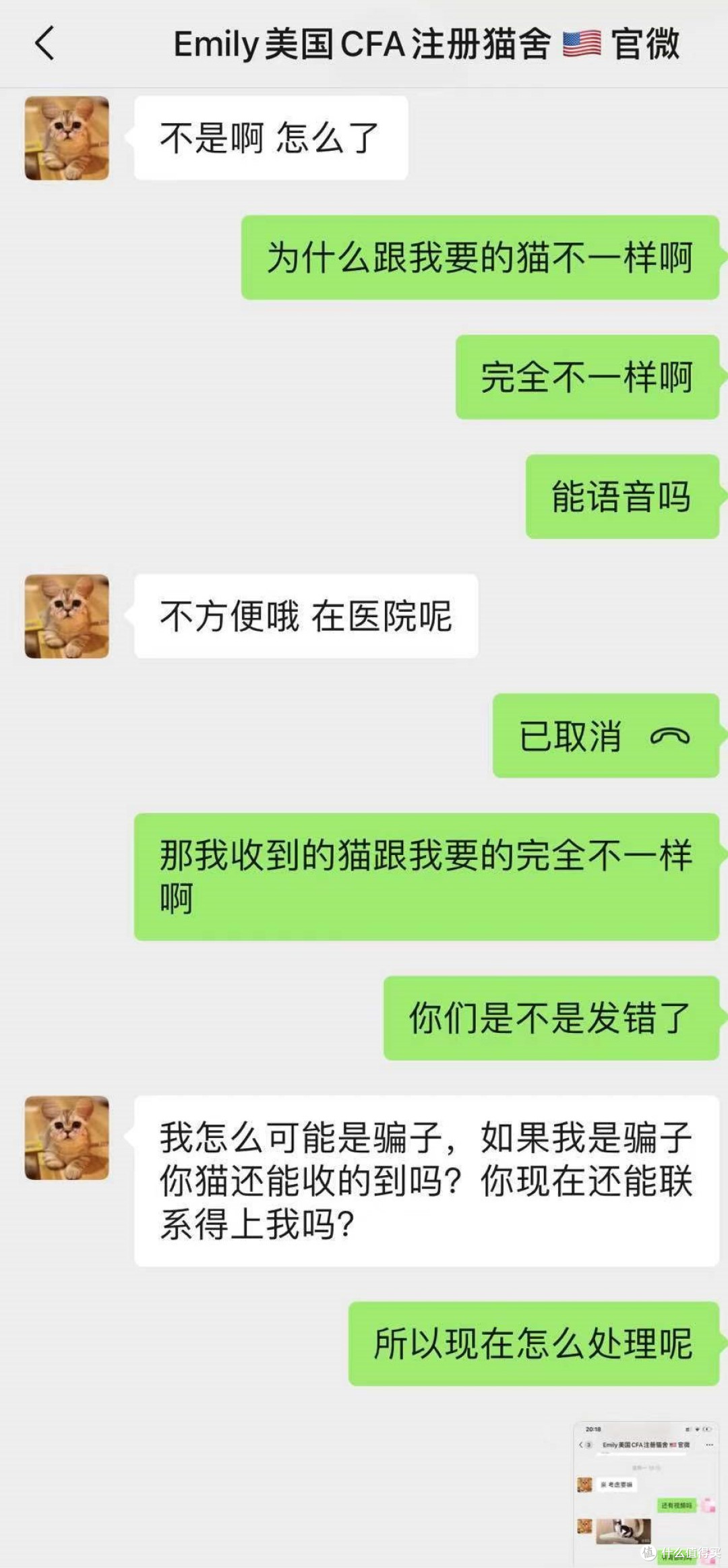 春虫虫写在脸上,“韭零后”打工人的闲鱼历险记,真的哭了