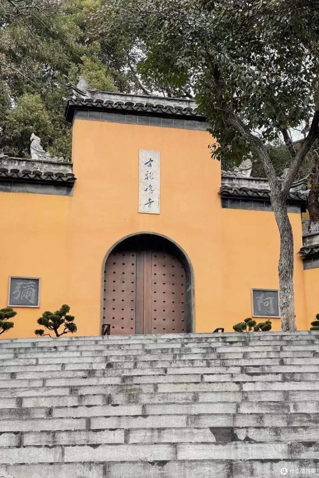 金陵一梦∣寻觅南京春日小众情怀