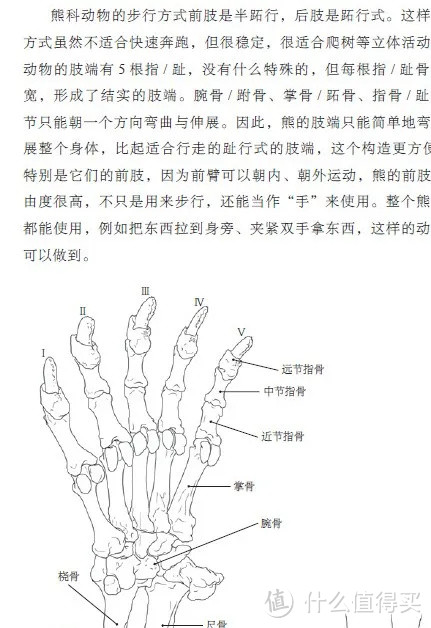 翻阅这本书，犹如进行一场膜拜